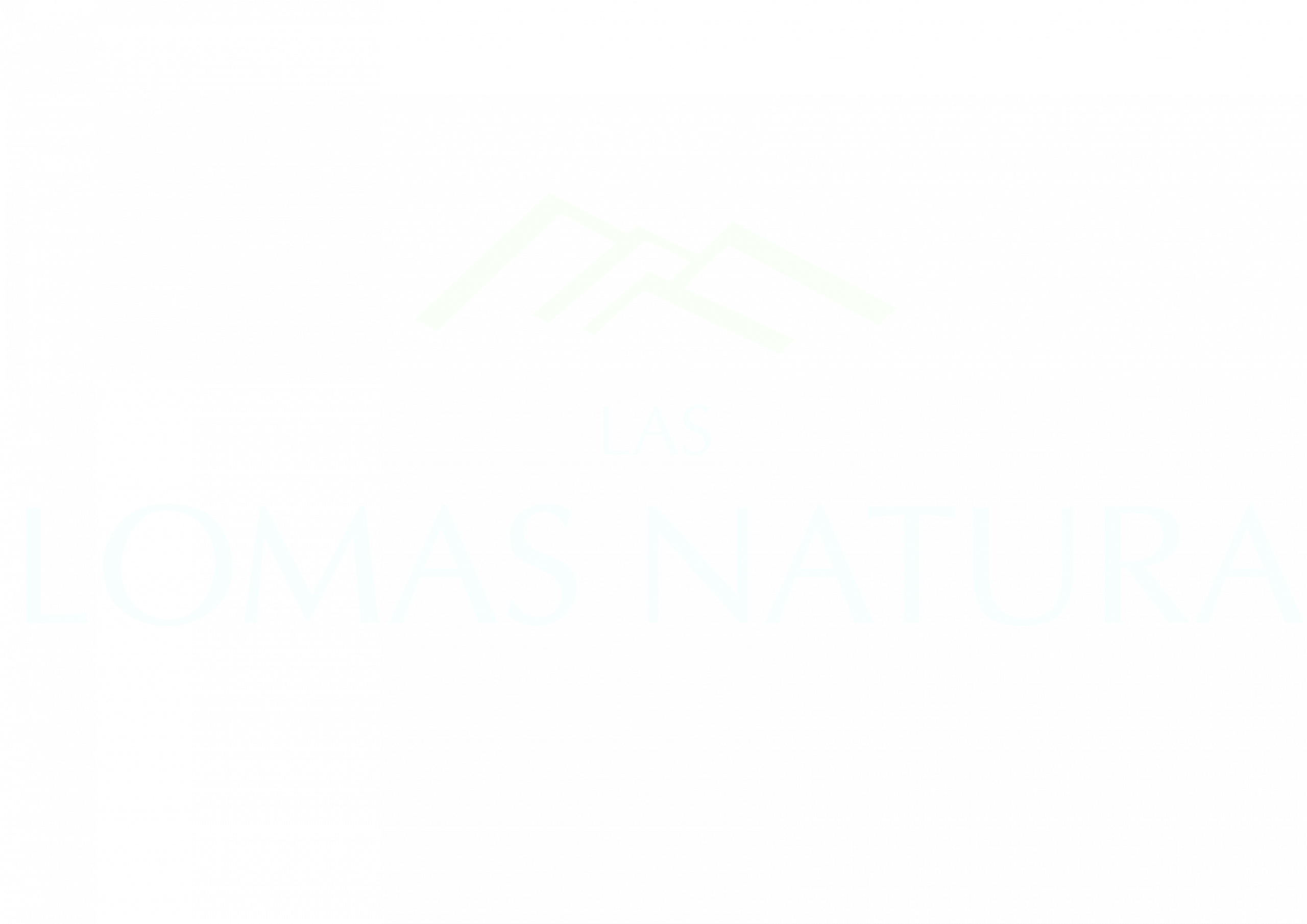 LOMAS BLANCO