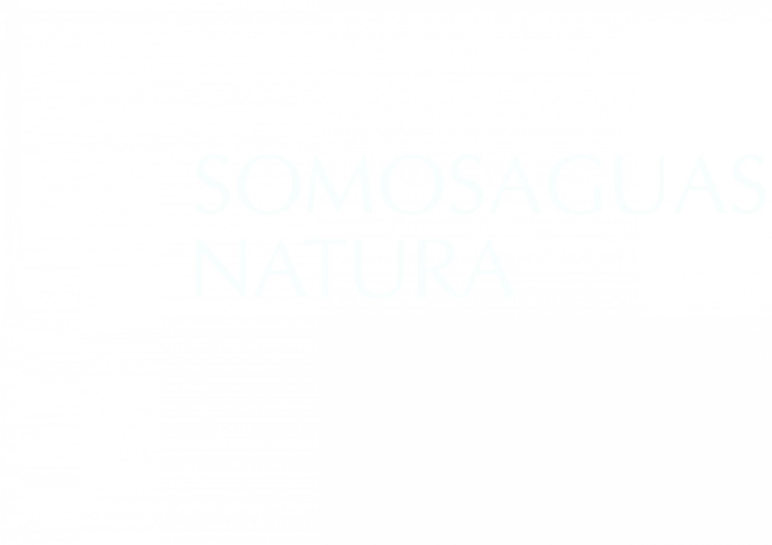 VECTOR LOGO SOMOASGUAS BLANCO
